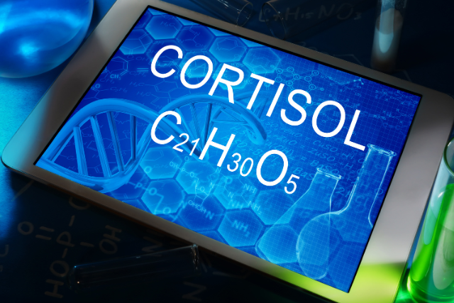 cortisol stress hormone