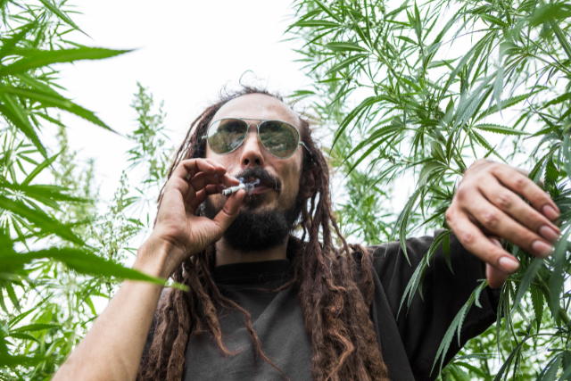 marijuana addict